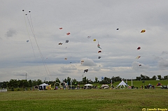 Venice kite festival_0500